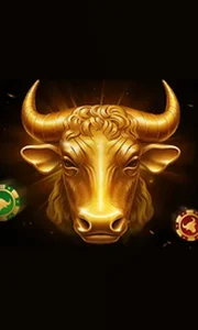 Bull's Club