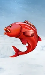 Ice Fishing